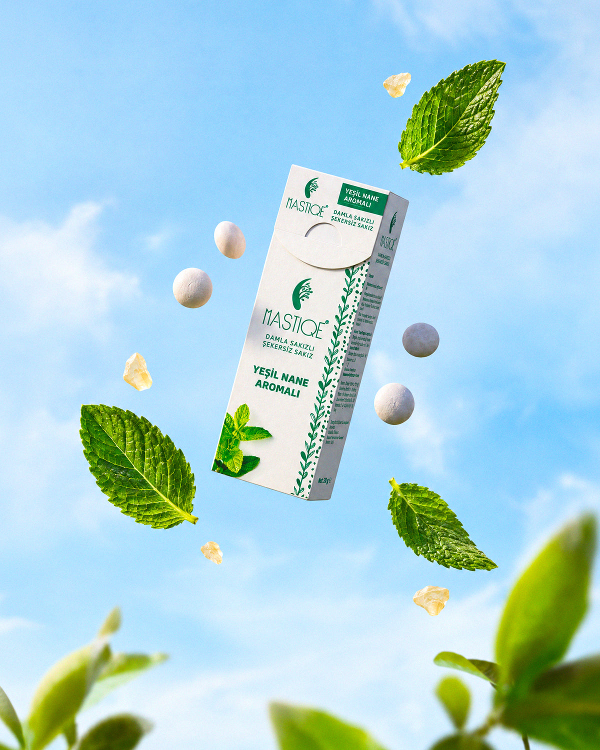 Mastiqe Yeşil Nane Aromalı Damla Sakızlı Şekersiz Sakız – 20 g × 12 Paket