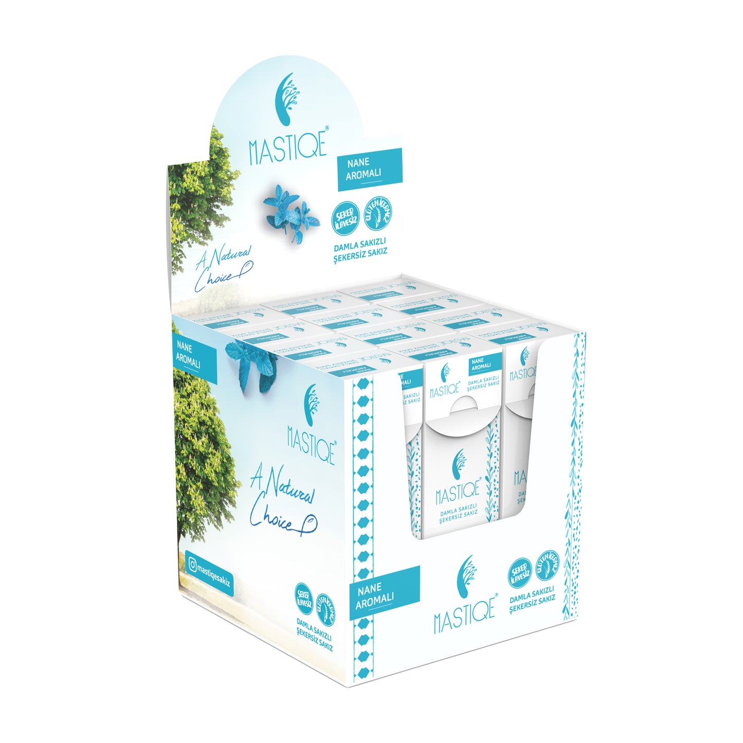 Doğal Nane Aromalı Damla Sakızlı Şekersiz Sakız 20 Grx12 Adet