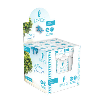 Doğal Nane Aromalı Damla Sakızlı Şekersiz Sakız 20 Grx12 Adet