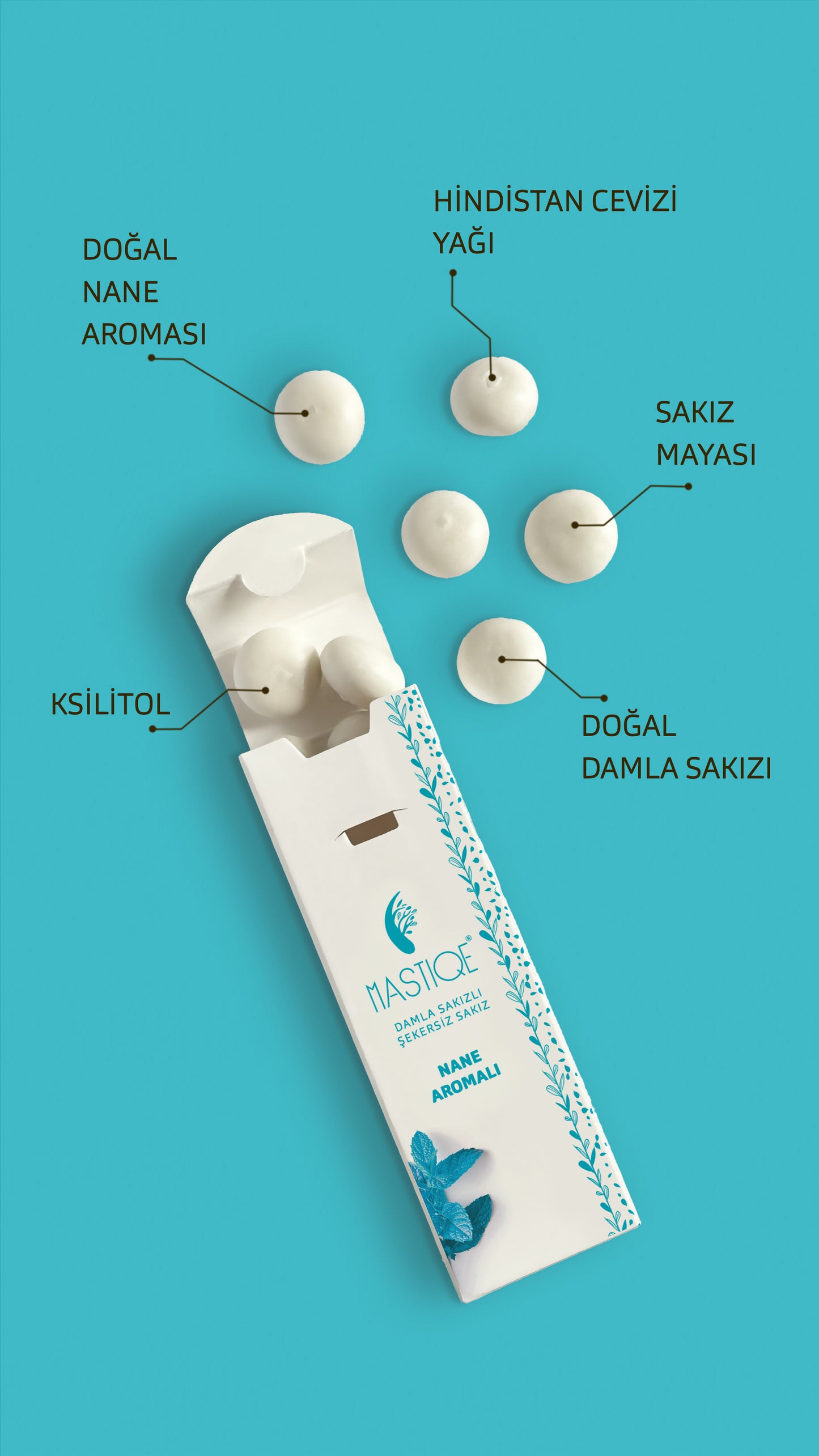 Doğal Nane Aromalı Damla Sakızlı Şekersiz Sakız 20 Grx12 Adet
